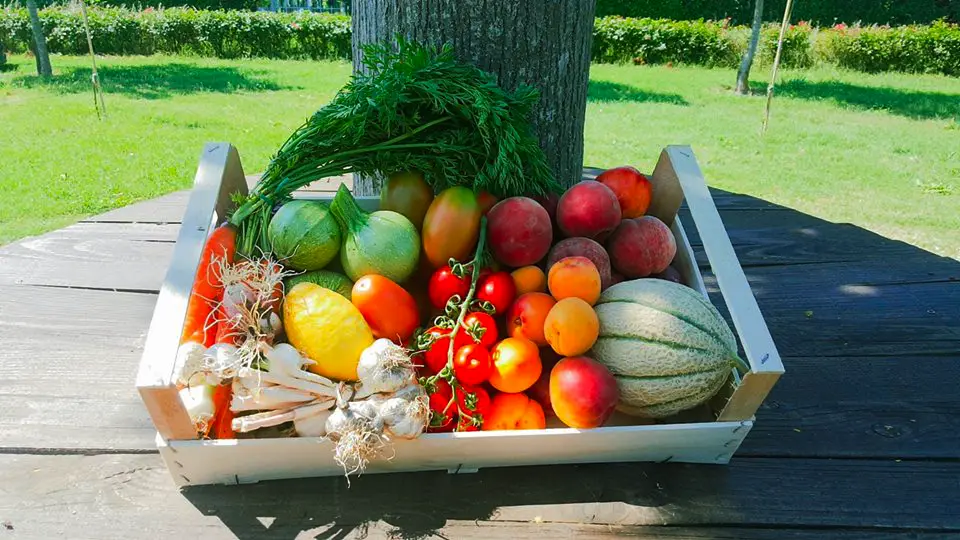 products agrimarket km0